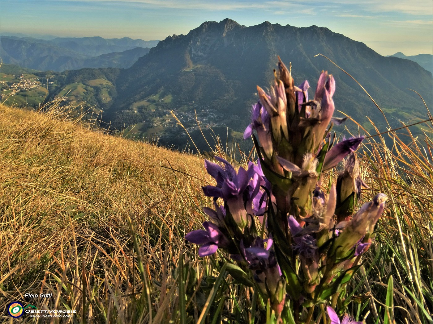 77 Gentiana anasidonta con bella vista in Alben.JPG